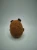 image (22).webp