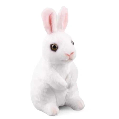 image (3).webp