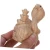image (39).webp