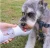 image (2).webp